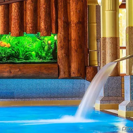 Litwor Otel 5*